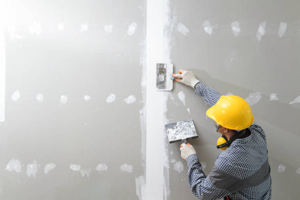Mold Remediation for Rental Properties in Cocoa, FL