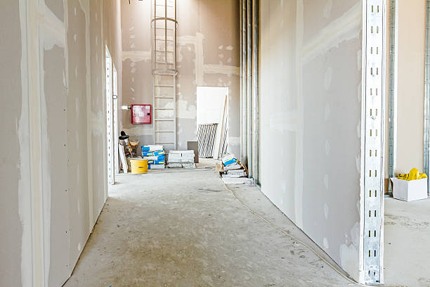 Best Mold Remediation for Rental Properties  in Cocoa, FL